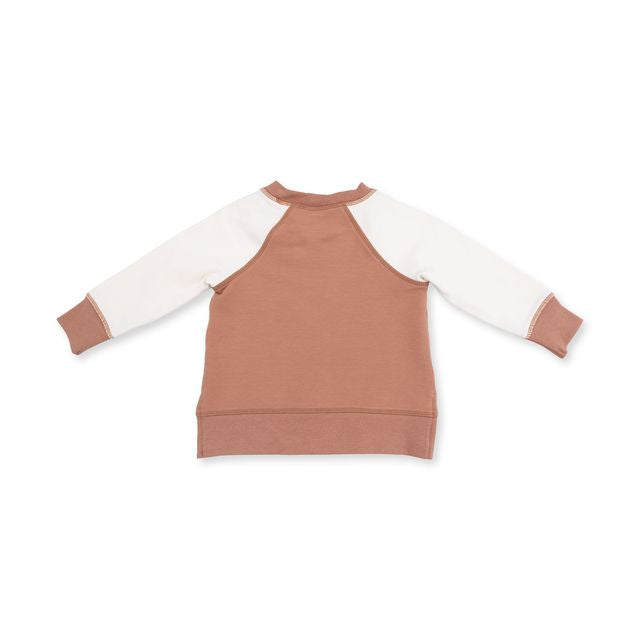 back of sweatshirt , middle is all brown and creme sleeves. 