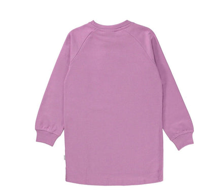 Girls Dress | Organic Cotton Carola Dress in Purple Ray | Molo - The Ridge Kids