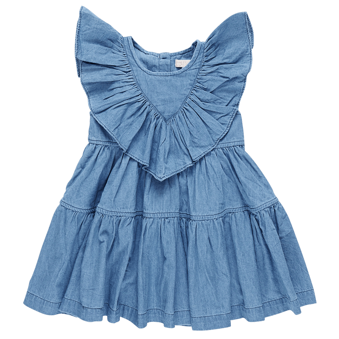 Girls Dress | Raphaela- Chambray | Pink Chicken - The Ridge Kids