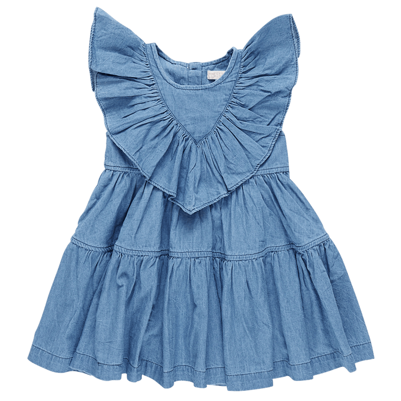 Girls Dress | Raphaela- Chambray | Pink Chicken - The Ridge Kids