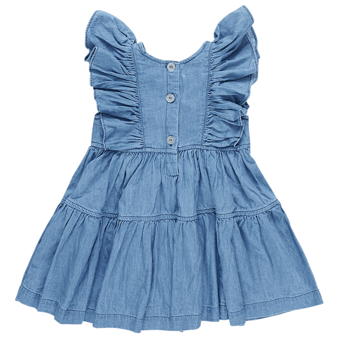Girls Dress | Raphaela- Chambray | Pink Chicken - The Ridge Kids