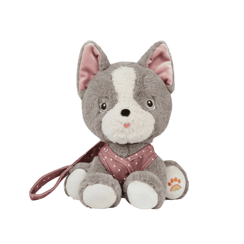 gray and white dog on dusty rose leash and puppy face. this picture has the dog facing head on. 