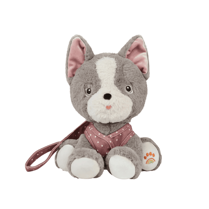 gray and white dog on dusty rose leash and puppy face. this picture has the dog facing head on. 