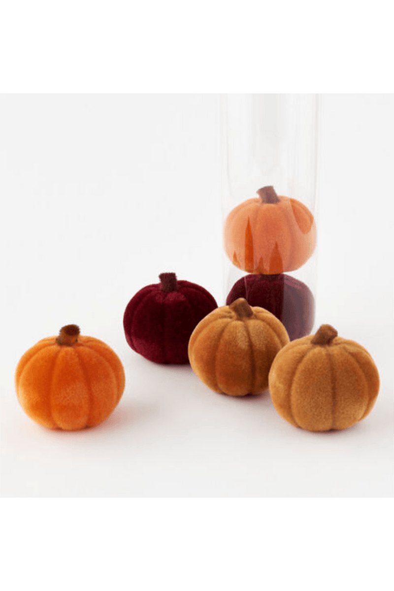 Home Decor | Harvest Flocked Pumpkins | One Hundred Eighty Degrees - The Ridge Kids