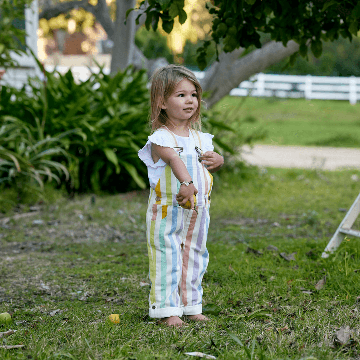 Kids Overalls | Classic Wide stripe Dungarees- Multi-color | Dotty Dungarees - The Ridge Kids