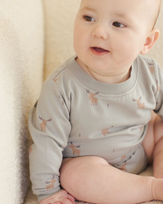 Baby Boy Sets | 2PCS: Relaxed Sweatshirt and Jogger Set- Moose | Quincy Mae