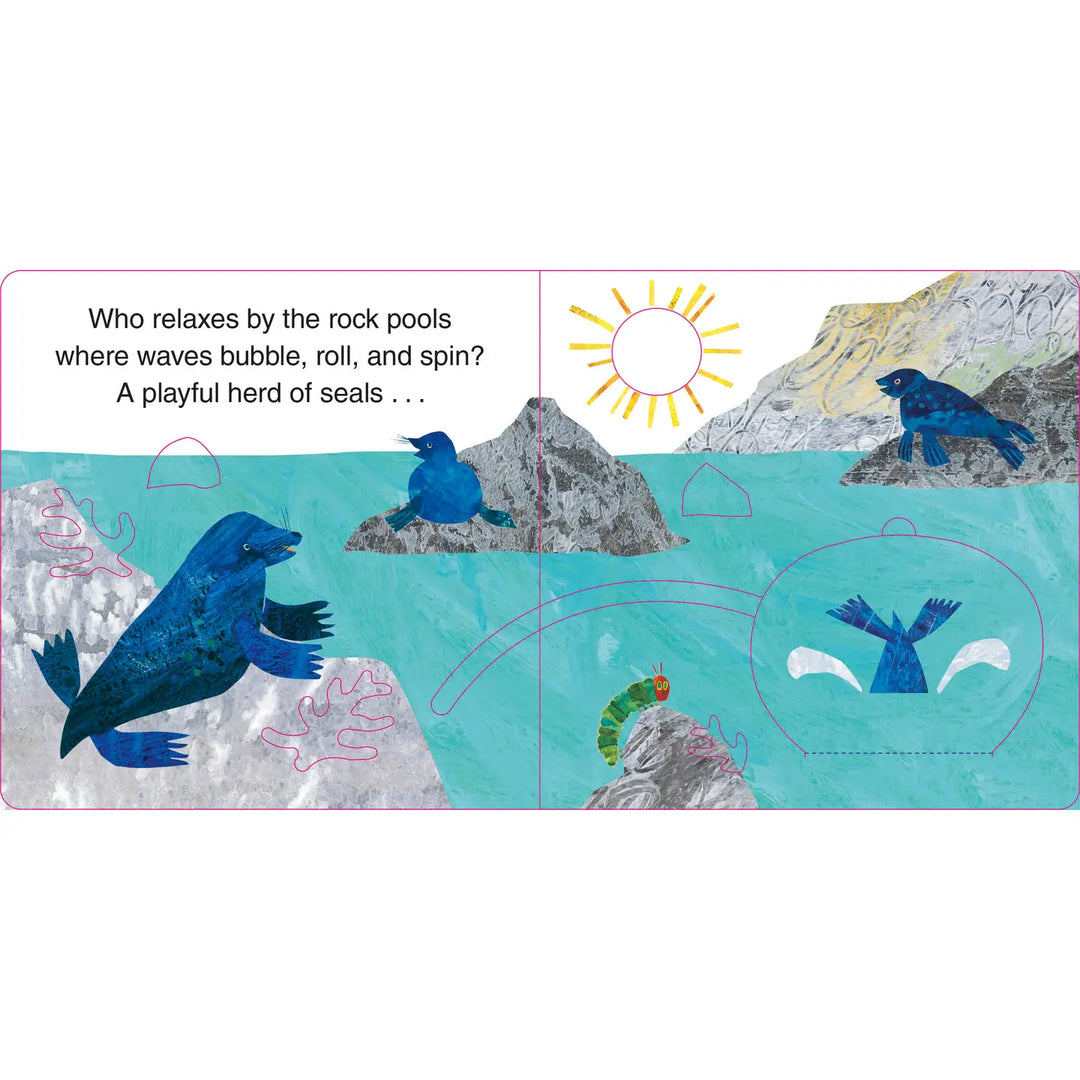 Illustration of seals by rock pools with text and sun icon