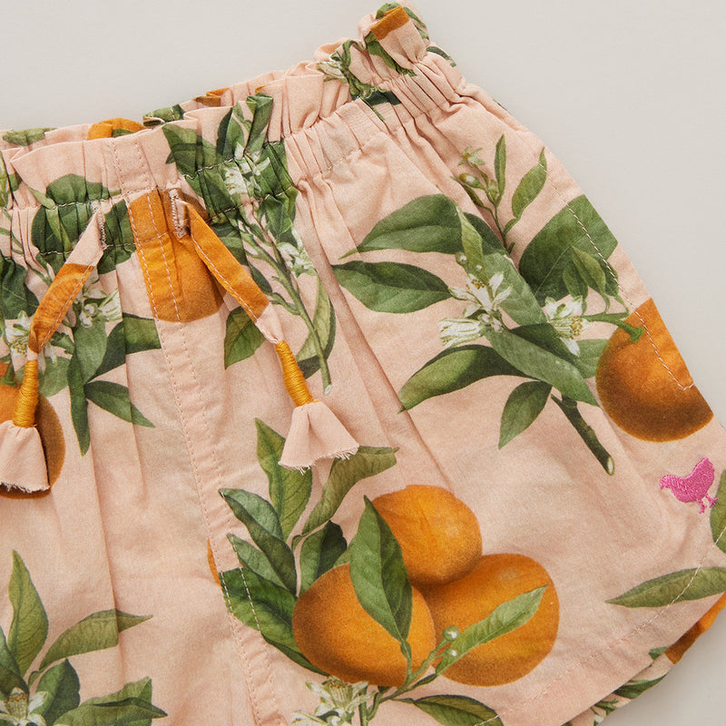 Girls Bottoms| Shorts: Theodore- Pink Botanical Oranges | Pink Chicken