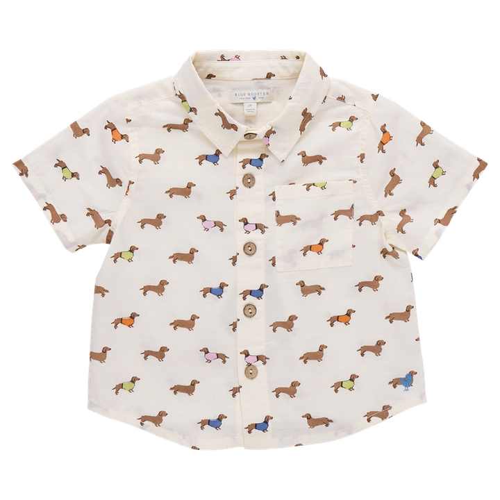 Short-sleeve shirt with dogs wearing sweaters pattern on a white background