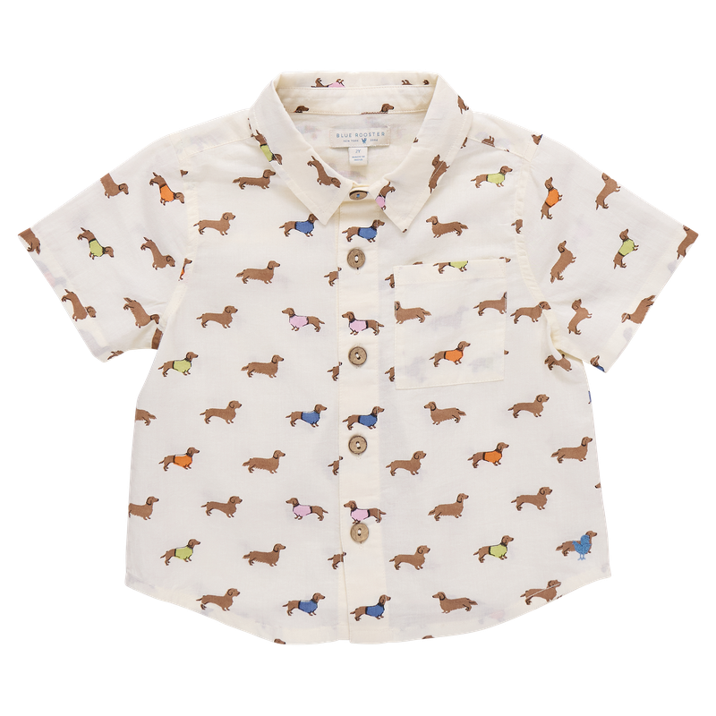 Short-sleeve shirt with dogs wearing sweaters pattern on a white background