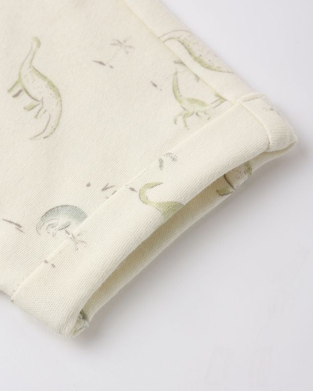 Folded fabric with dinosaur patterns on a white background