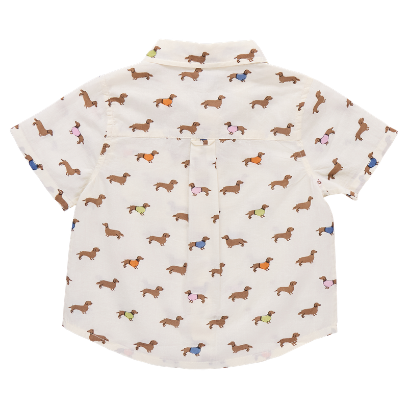 Back of Short-sleeve shirt with dachshunds wearing sweaters pattern on a white background