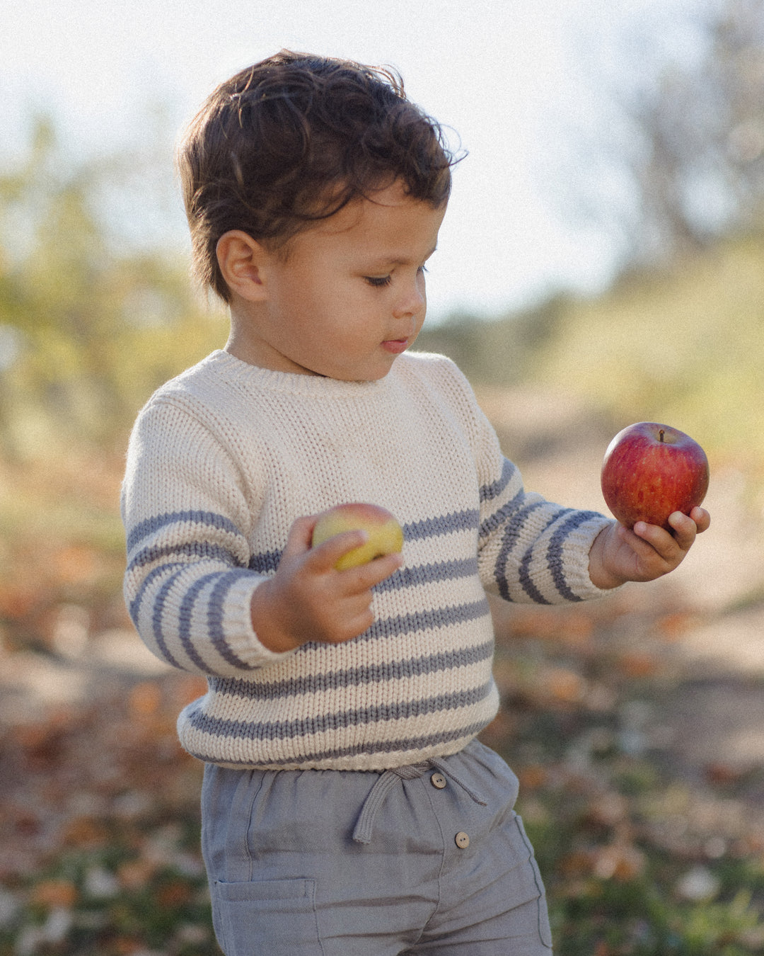 A toddler standing outdoors in a sunny field, wearing a cream knit sweater with blue-gray horizontal stripes and gray pants, holding two apples.