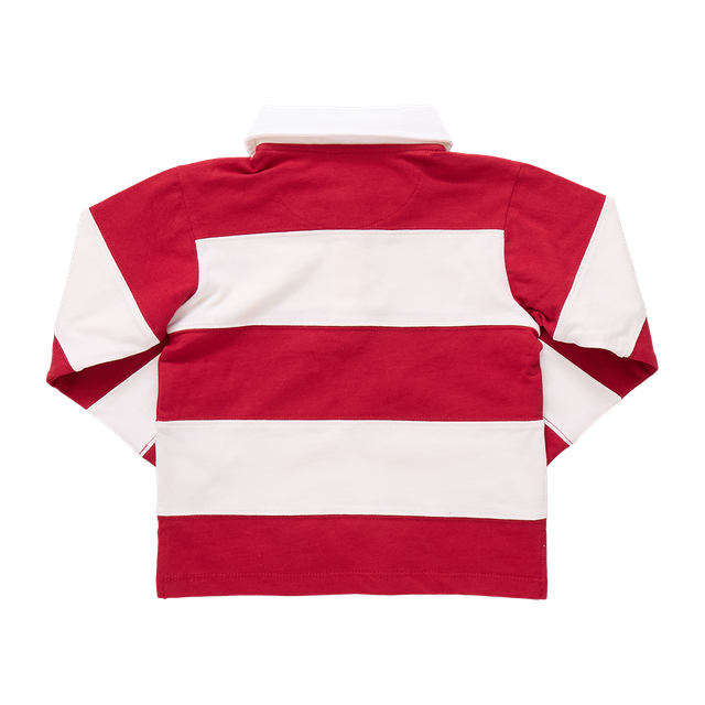 Red and white striped rugby shirt on a white background
