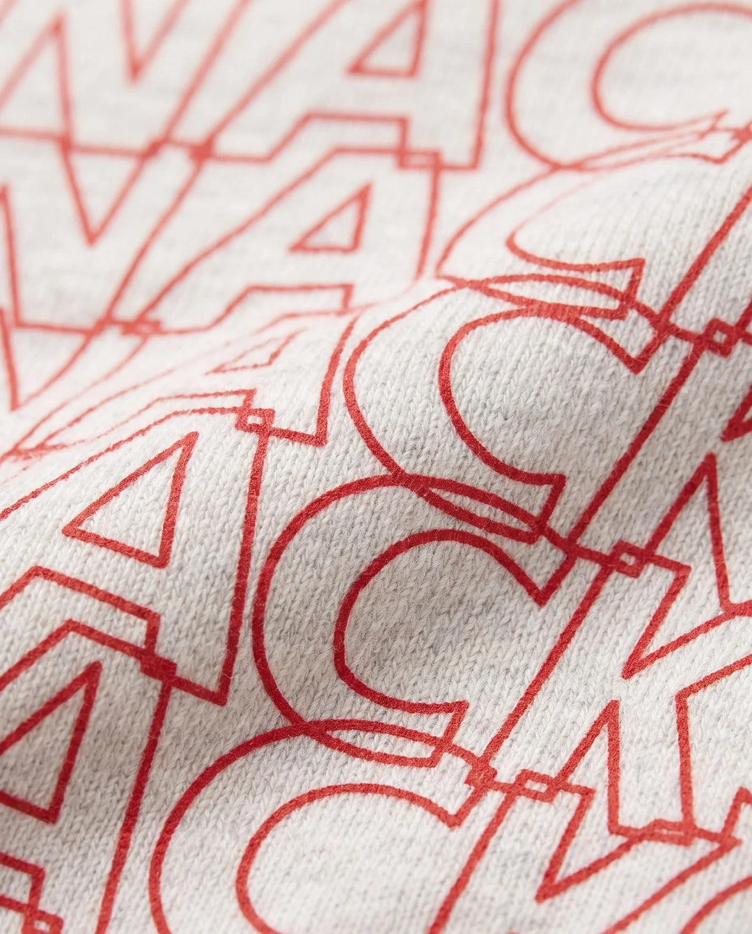 close up of the lettering on the front of the tee. 