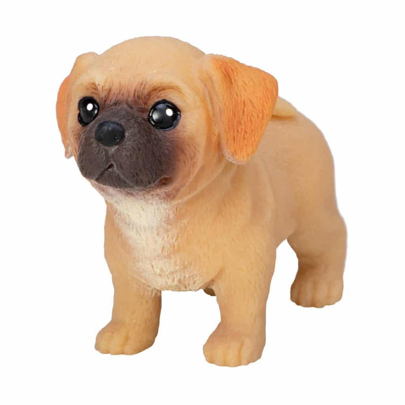 Squeeze Toys | Pocket Pups - Assorted | Schylling - The Ridge Kids