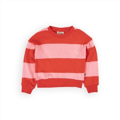 pink and red striped sweater, crew neck and long sleeves