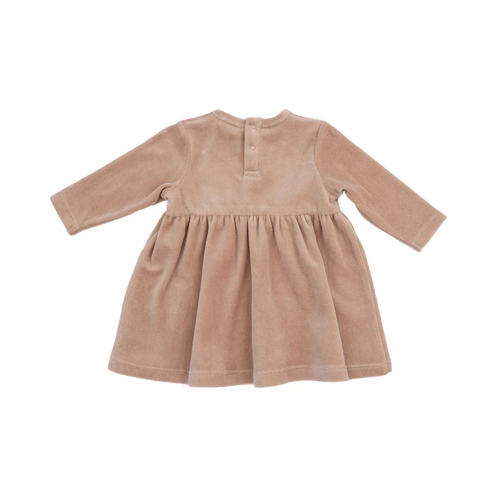 Brown velvet dress on a white background