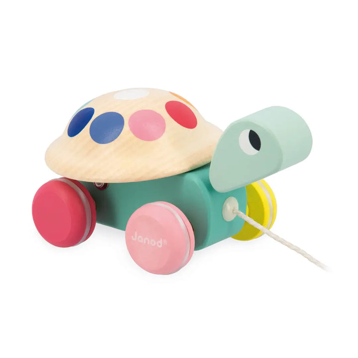 Colorful wooden toy turtle with colorful wheels on a white background