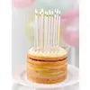 Rainbow Pastel Birthday Candles - The Ridge Kids