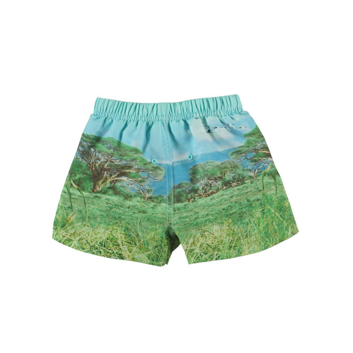 Newton Swim Shorts | Lion Cub | Molo - The Ridge Kids
