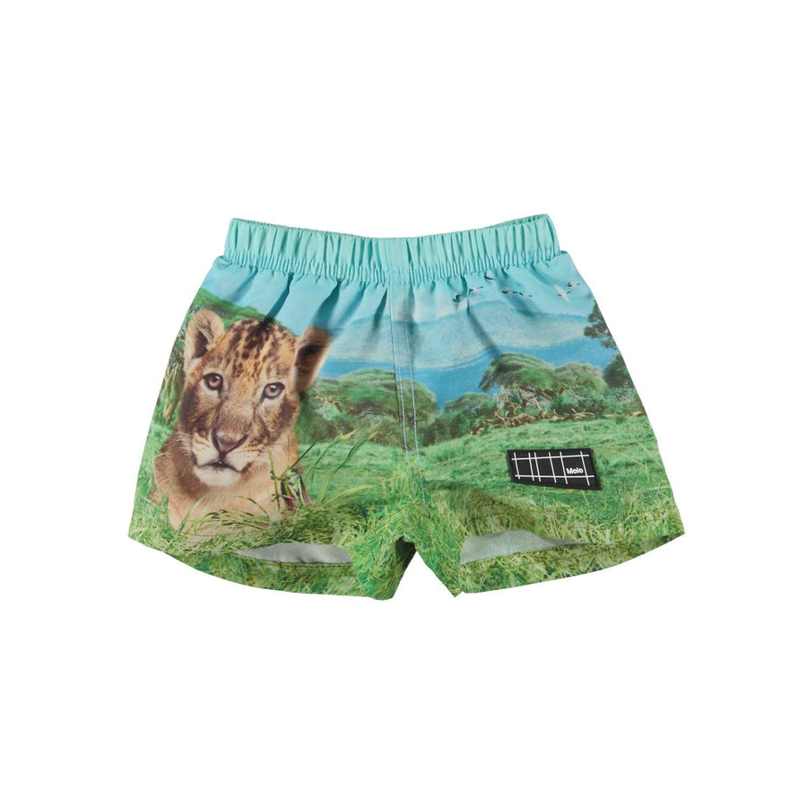 Newton Swim Shorts | Lion Cub | Molo - The Ridge Kids