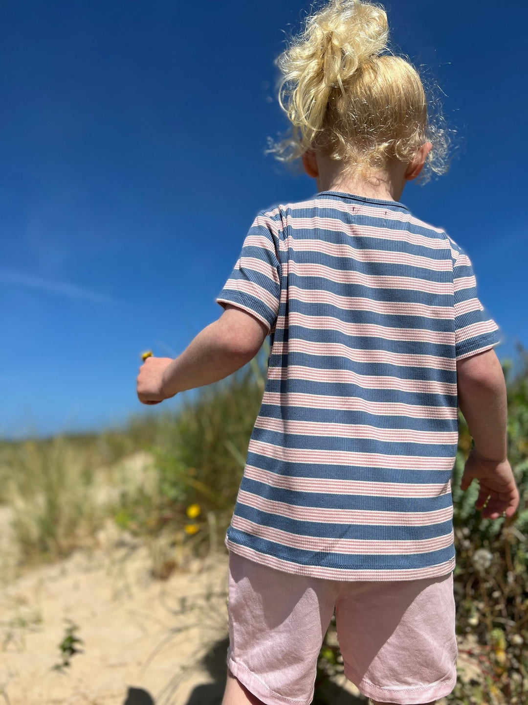 Unisex Dodger Striped Henley T-Shirt | Blue/Pink Stripe | Me and Henry - The Ridge Kids