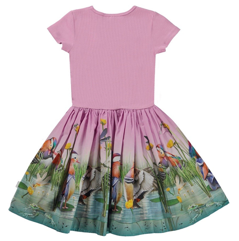 Cissa Organic Cotton Short Sleeve Dress | Dashing Ducks | Molo