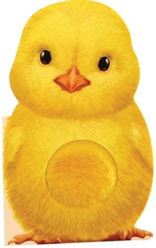 Board Book | Furry Chick | Easter Books - The Ridge Kids
