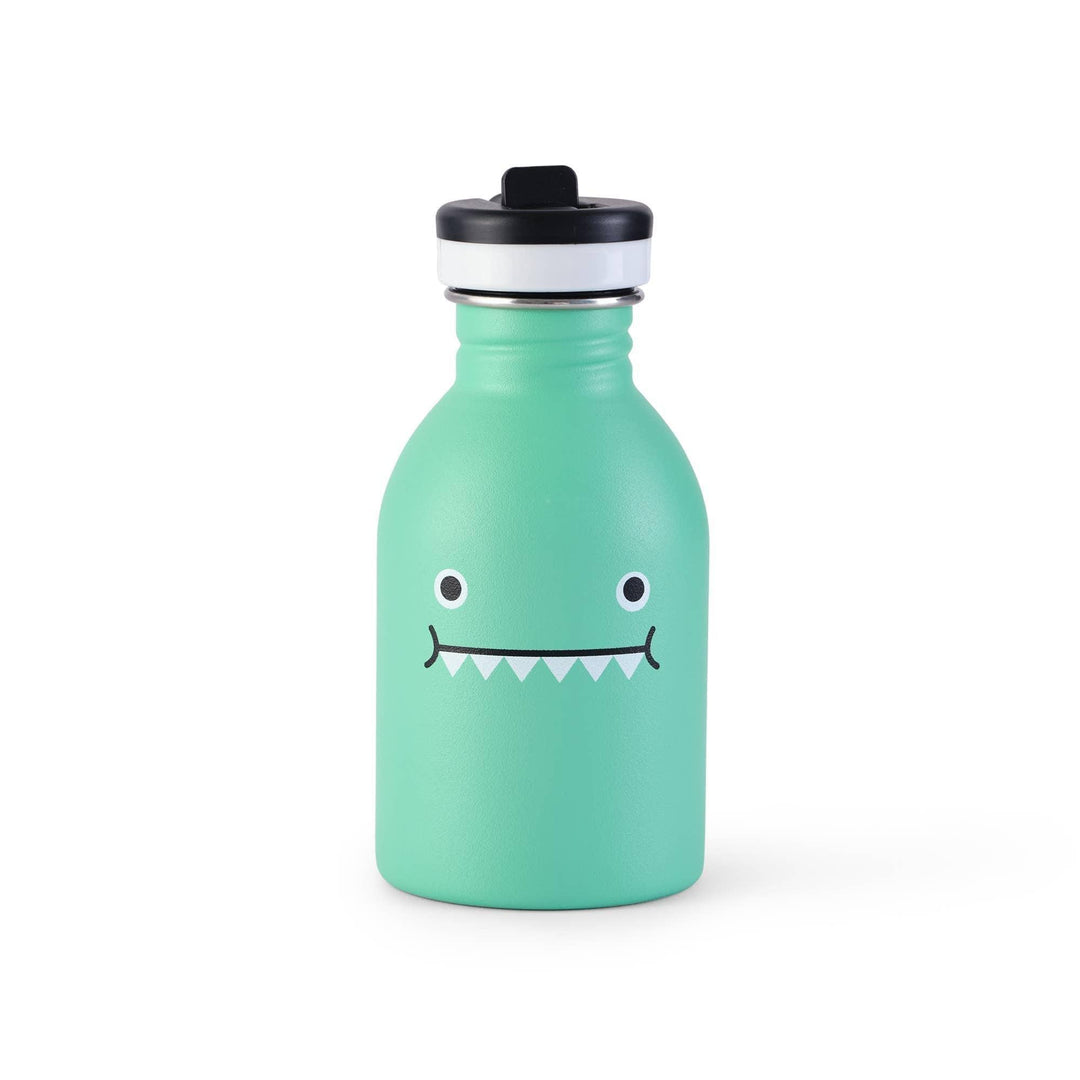 Bottle | Stainless Steel Bottle Ricedino Green | Noodoll - The Ridge Kids