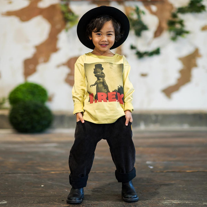 Boys Cotton Tee Shirt | T Rex Long Sleeve | Rock Your Baby - The Ridge Kids
