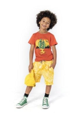 Boys Shorts | Brighton Shorts- Lemon Tie Dye | Appaman - The Ridge Kids