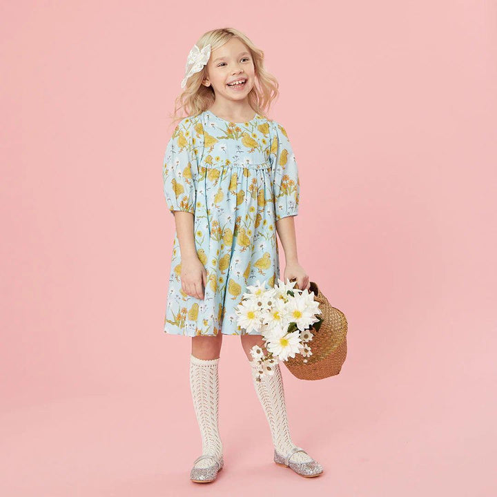 Girls Dress | Rowan - Chick Garden | Pink Chicken