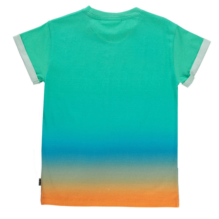 Graphic Print Randon T-Shirt | Various Prints |  Molo - The Ridge Kids