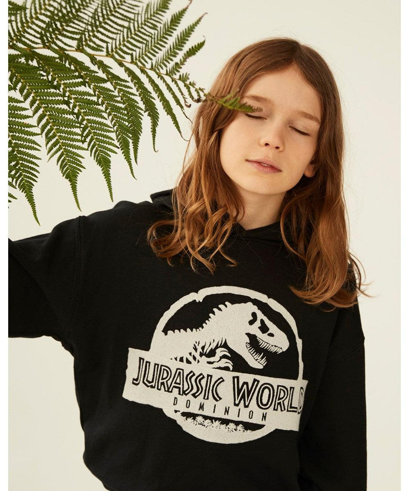Jurassic Dominion Moz Hooded Sweatshirt | Black | Molo x Jurassic World - The Ridge Kids