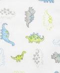 Little Me | Newborn Essential Bib and Burp Set | Tiny Dinos - The Ridge Kids