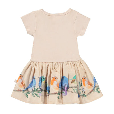 Organic Cotton Dress | Short Sleeve Carin with Bird on a Twig Print | Molo - The Ridge Kids
