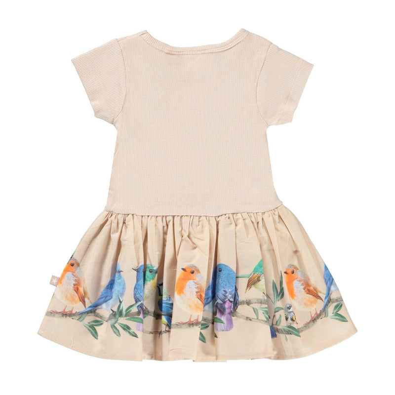Organic Cotton Dress | Short Sleeve Carin with Bird on a Twig Print | Molo - The Ridge Kids