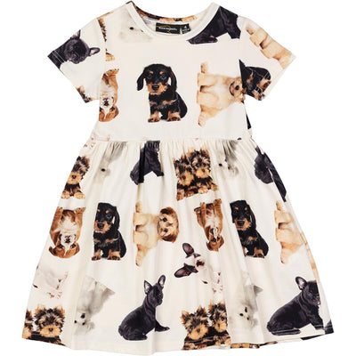 Short Sleeve Puppies Dress | Puppies Print | Rock Your Baby - The Ridge Kids