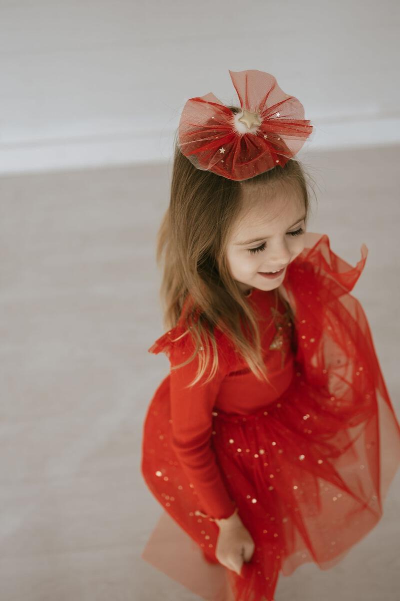 Tutu Dress | Long Sleeve Frill Holiday Red | Petite Hailey - The Ridge Kids