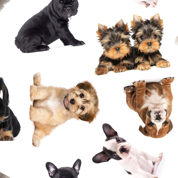 Unisex Sweatshirt | Puppies Sweatshirt | Rock Your Baby - The Ridge Kids